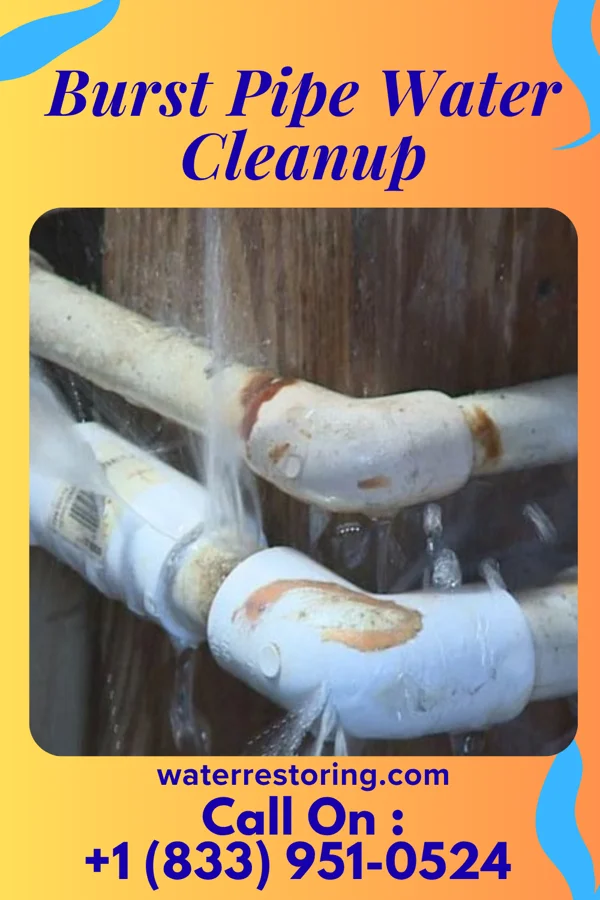 Burst Pipe Water Cleanup in Circleville, OH