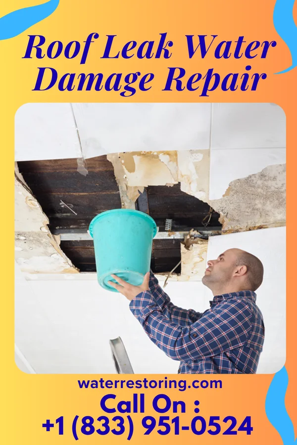 Roof Leak Water Damage Repair in Circleville, OH